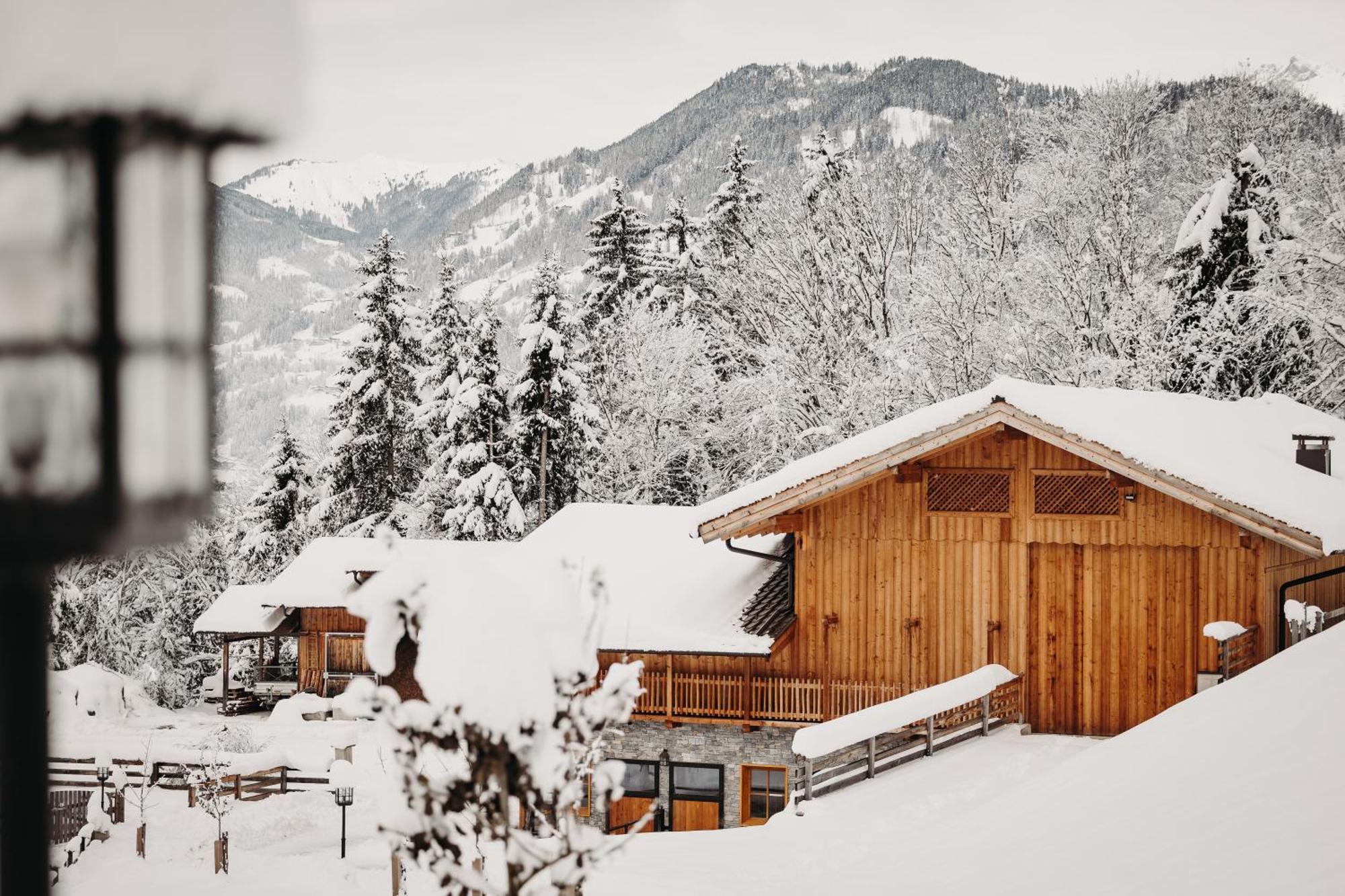 Gut Berg Naturhotel 상트조한임퐁가우 외부 사진